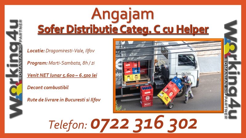 Sofer Distributie Categ. C cu Helper